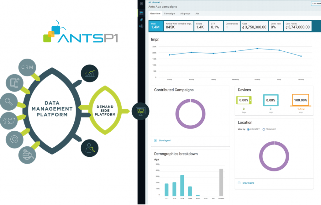 Programmatic One | ANTS P1 – The Leading Independent Programmatic ...